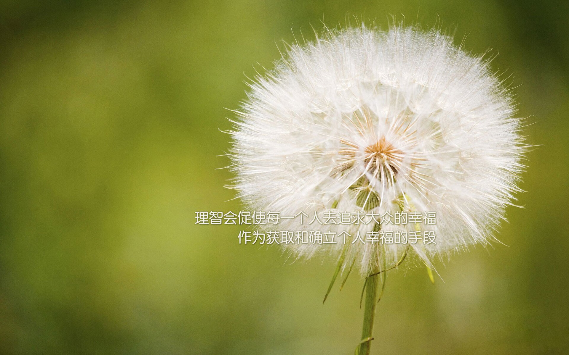 摩洛哥队在巴黎奥运会男足比赛中以0-1输给西班牙,摩洛哥足球队