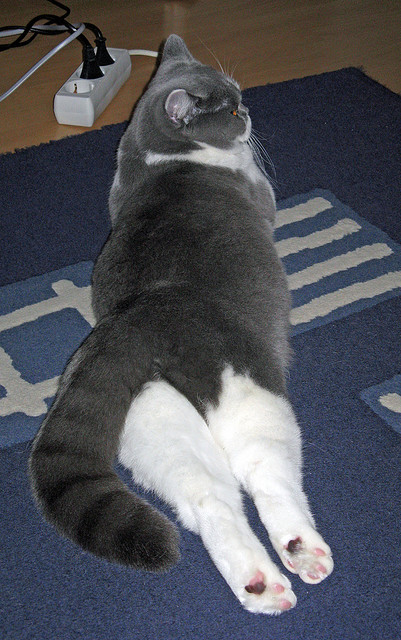 九游娱乐-排名变化：本轮大洗牌，谁被超越？