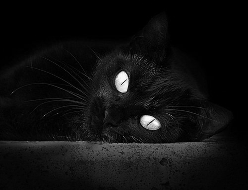 比赛高潮集锦:每个瞬间都令人血脉喷张,形容比赛到了高潮的成语