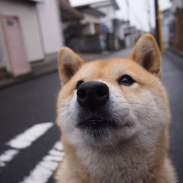 电竞焦点访谈节目获得行业广泛好评,焦点访谈 电竞游戏