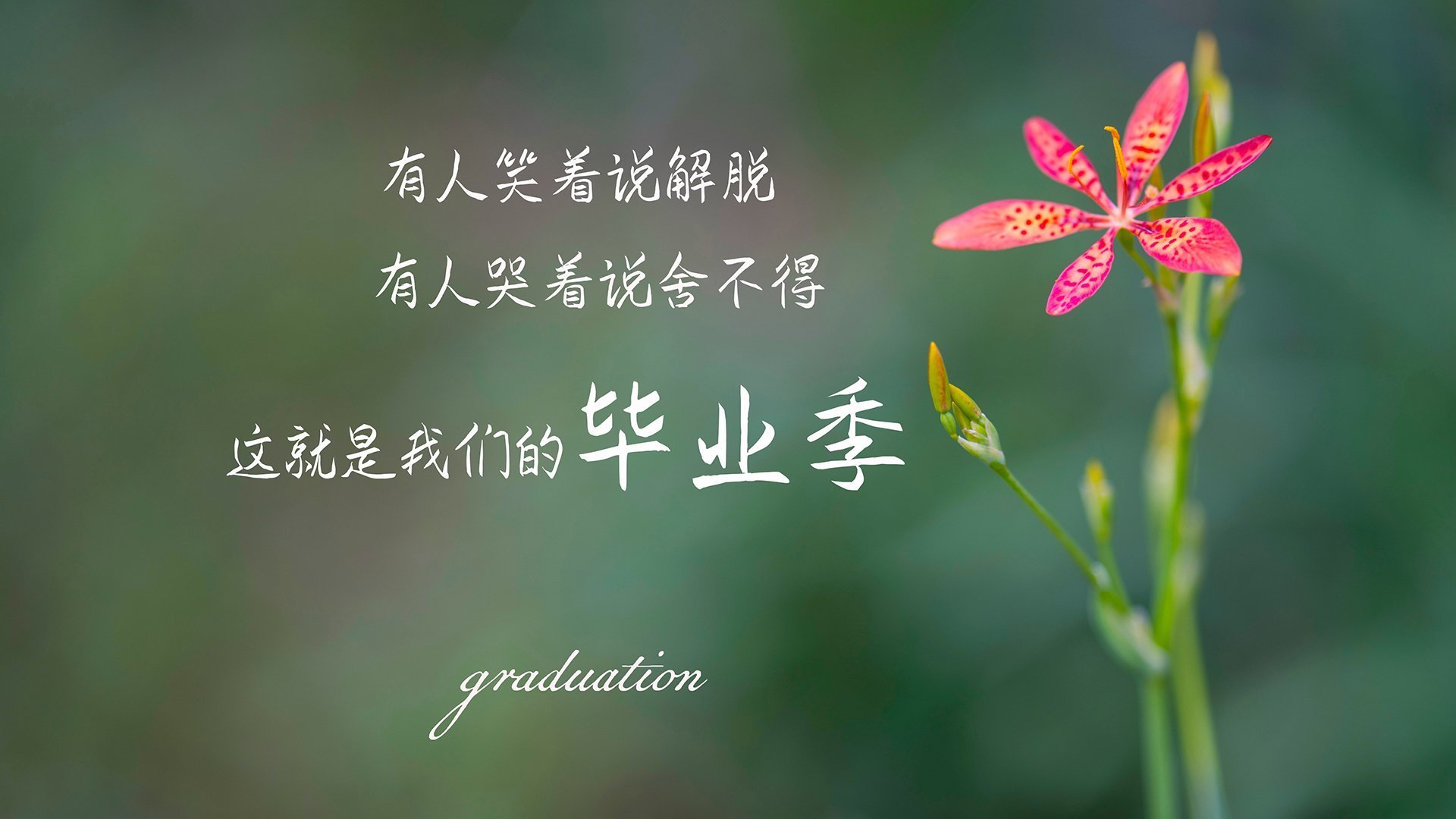 篮网球星参与环保清洁日,鼓励青少年环保意识,篮网球队海报