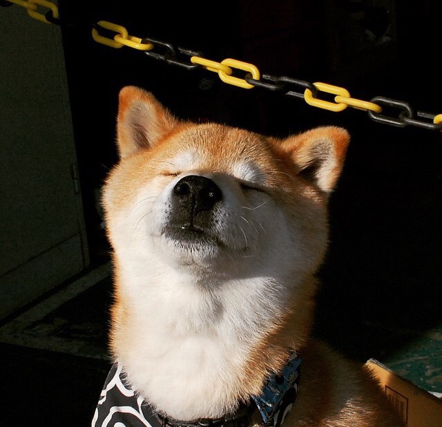 九游登录中心-中乙赛区安排是否影响球队公平竞争，中乙赛场