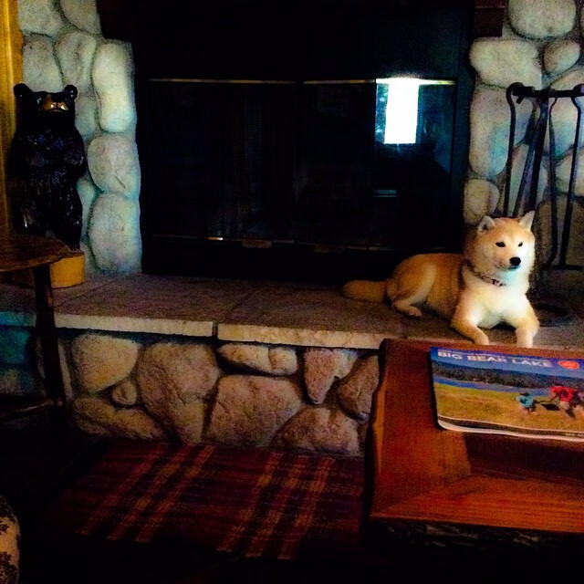 九游9游-墨尔本联替补阵容深度提升，墨尔本联队vs国王