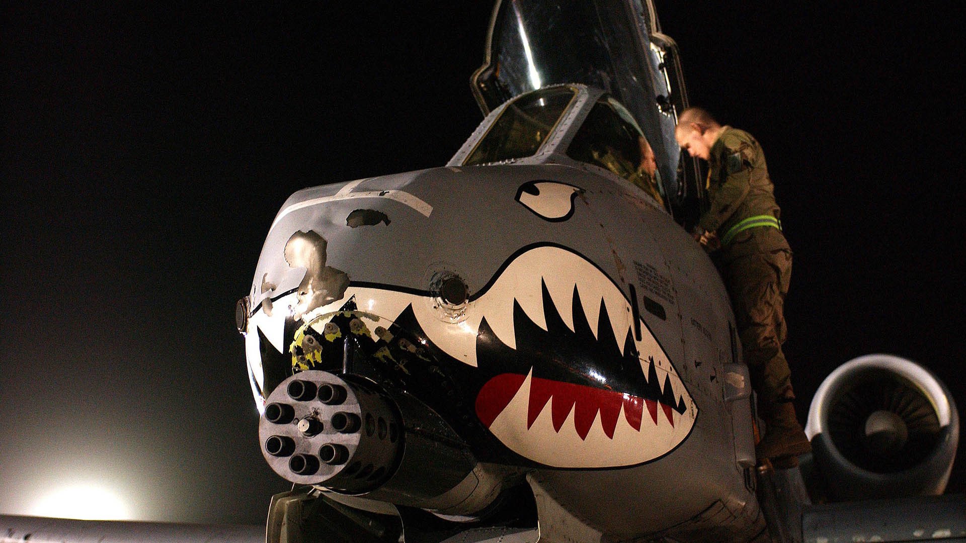 女足世界杯备战热烈,教练团队部署细致,女足世界杯队员