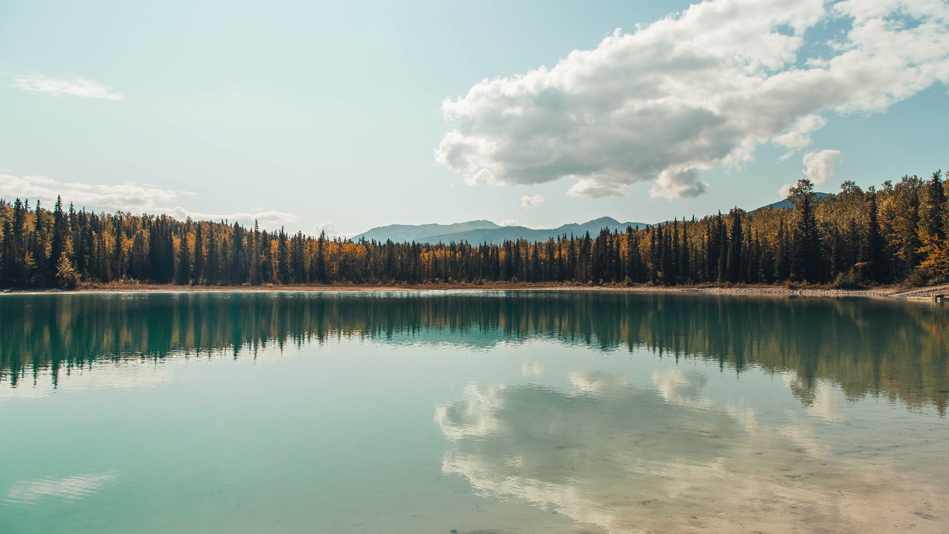 九游娱乐(jiuyou)官网-尼姆主场失利，球队排名继续下滑，尼姆队徽