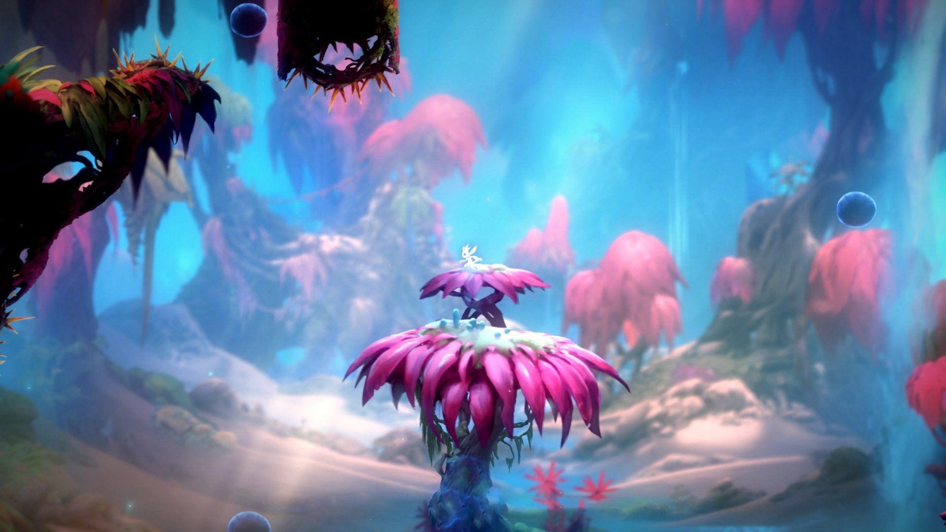 拉希米在巴黎奥运会男足比赛中成为最佳射手