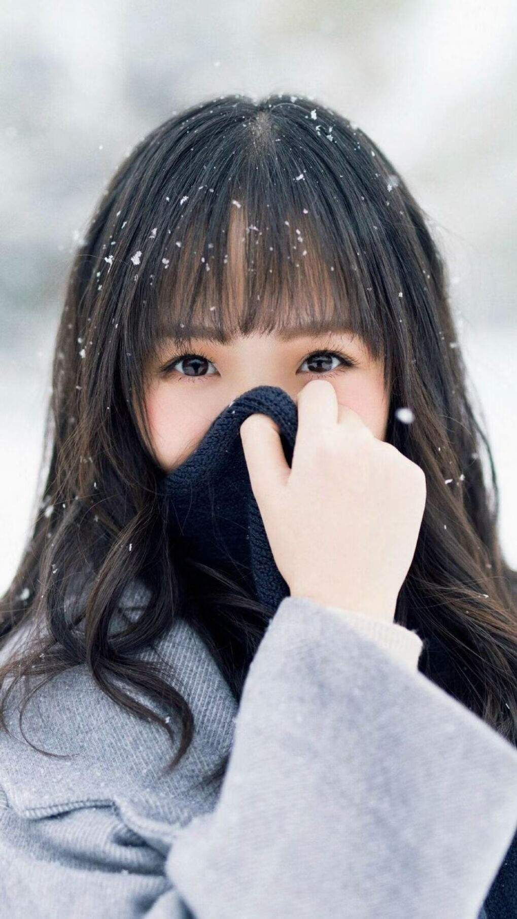 汉诺威主场比赛取胜,球队表现出色,汉诺威市