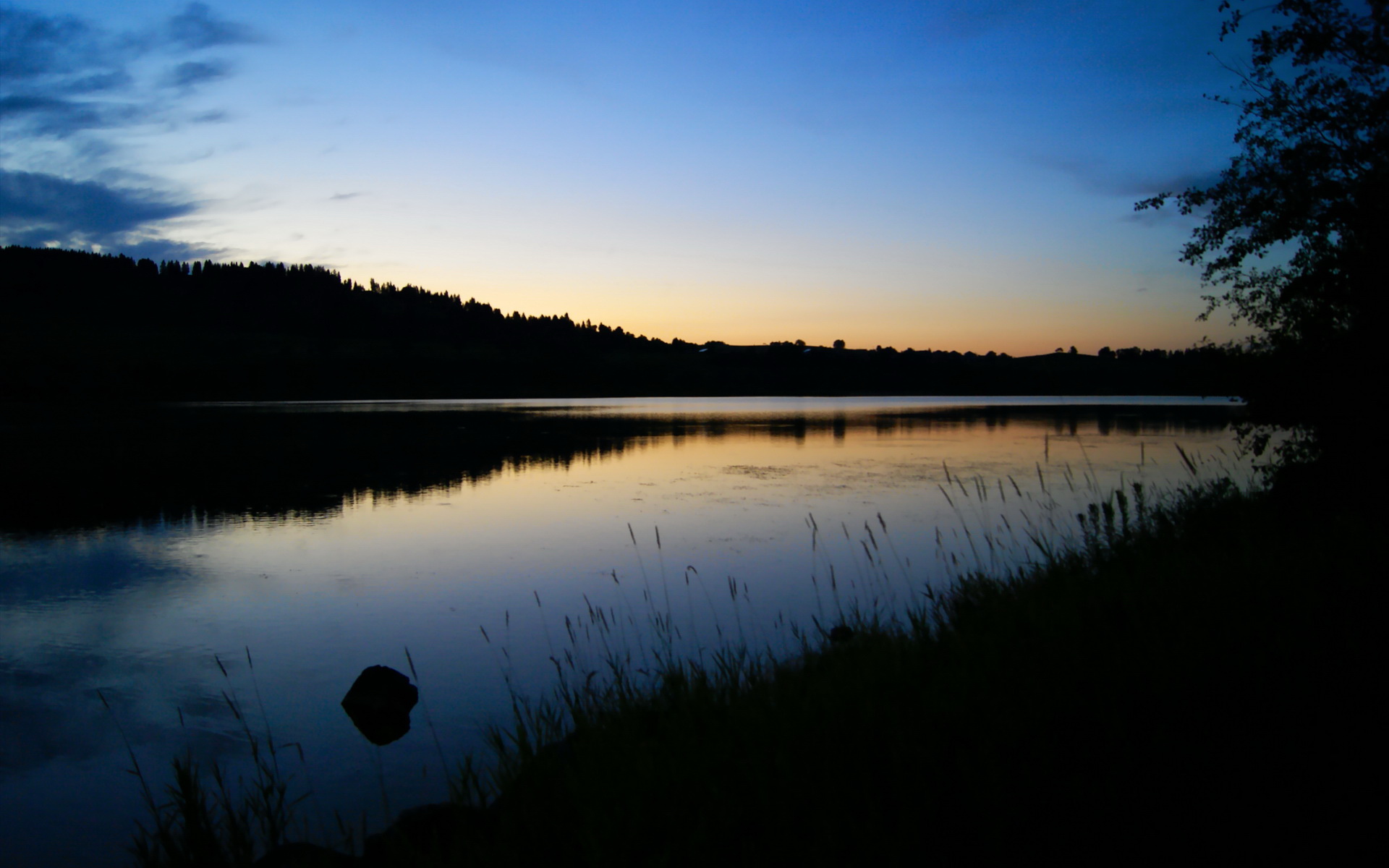 河床篮板球表现抢眼,河床队的主场叫什么