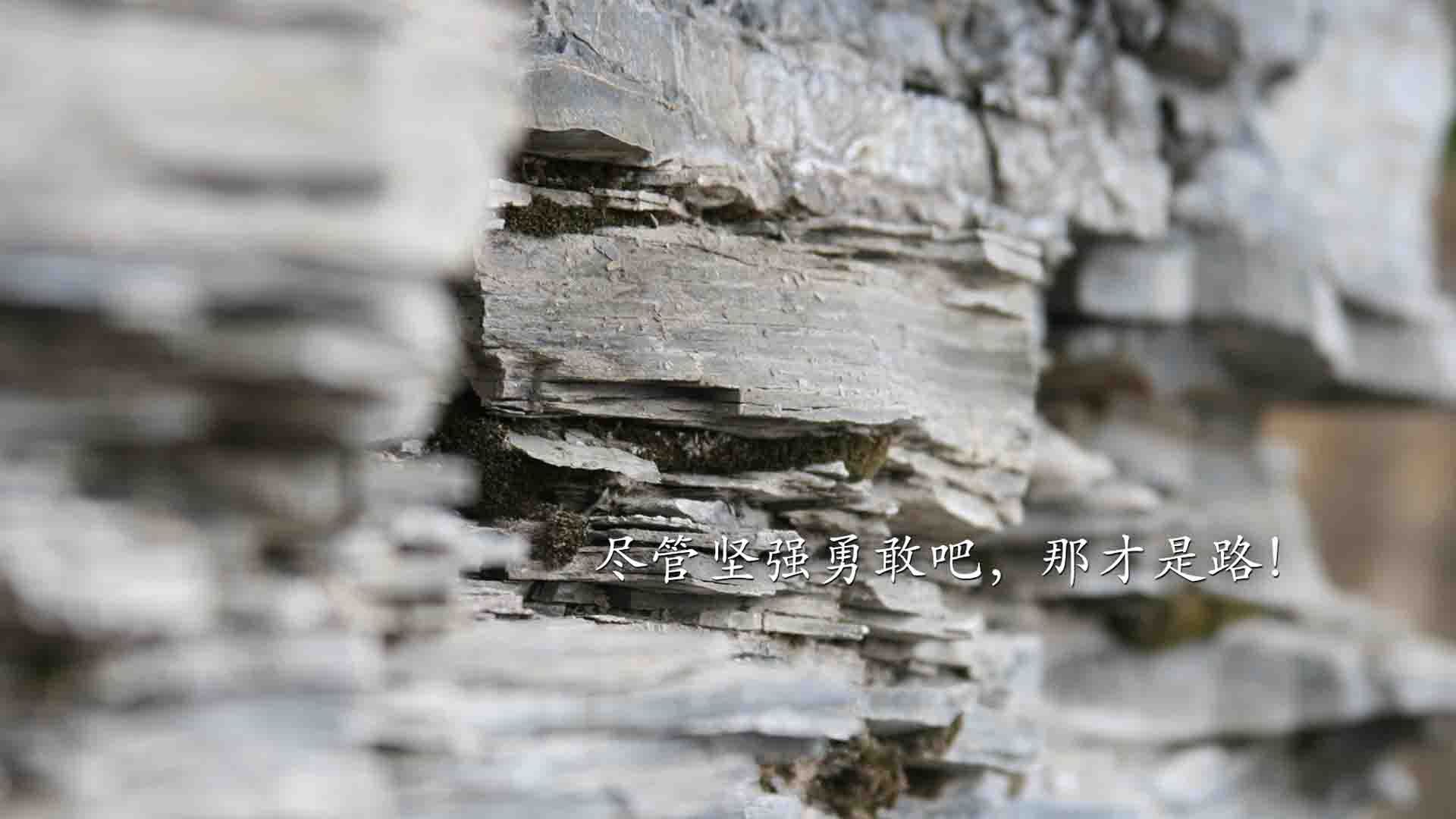 九游娱乐官网 (jiuyou)-鹿岛鹿角新赛季目标明确，鹿岛鹿角主帅