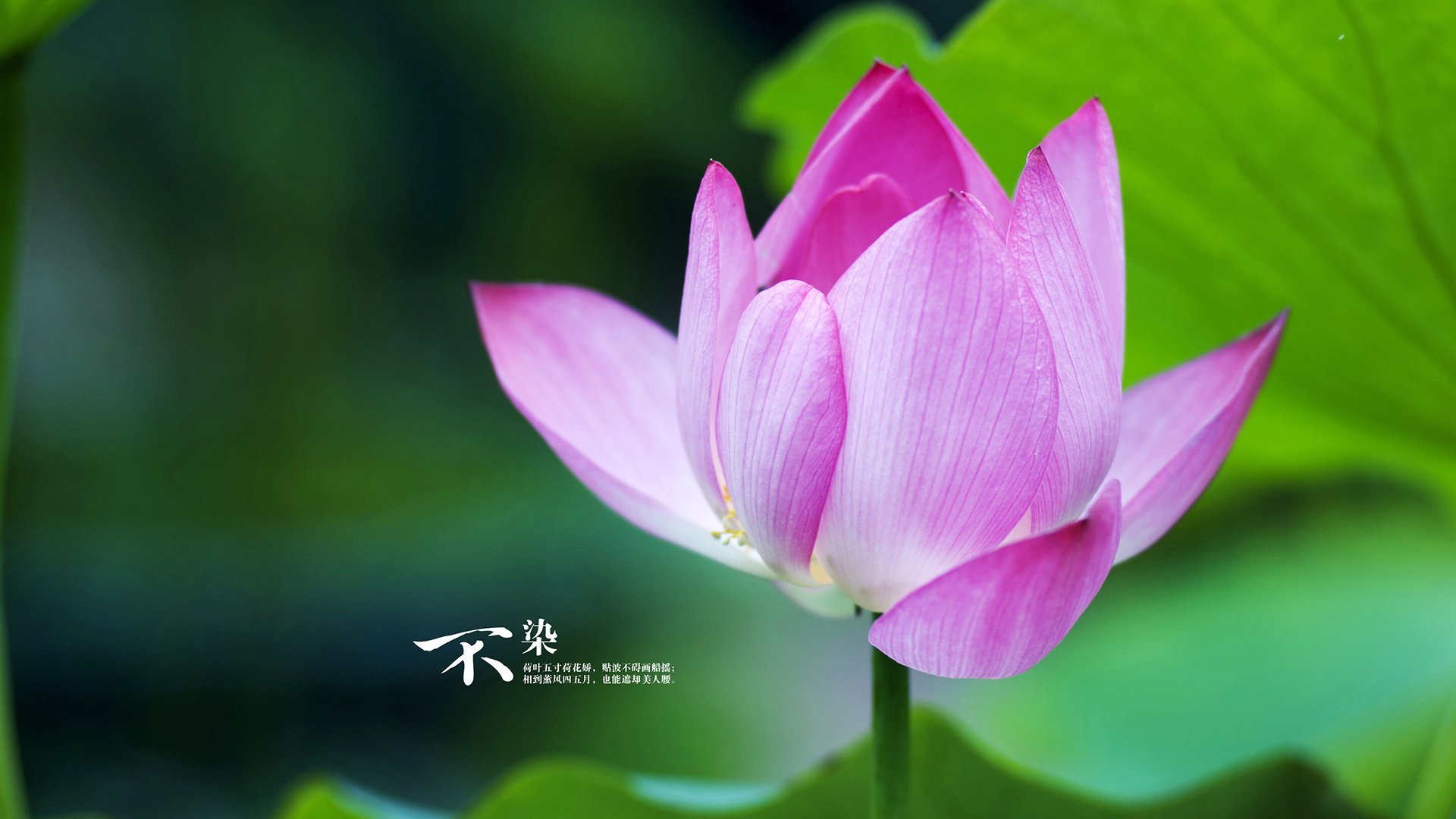 法甲球队利用数据可视化辅助战术布置实证研究