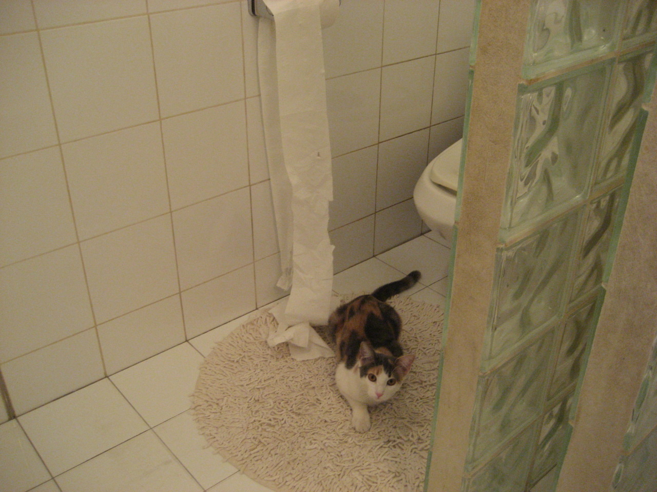 体育新闻中心协办高校体育新闻实验室建设项目,体育学院新闻稿