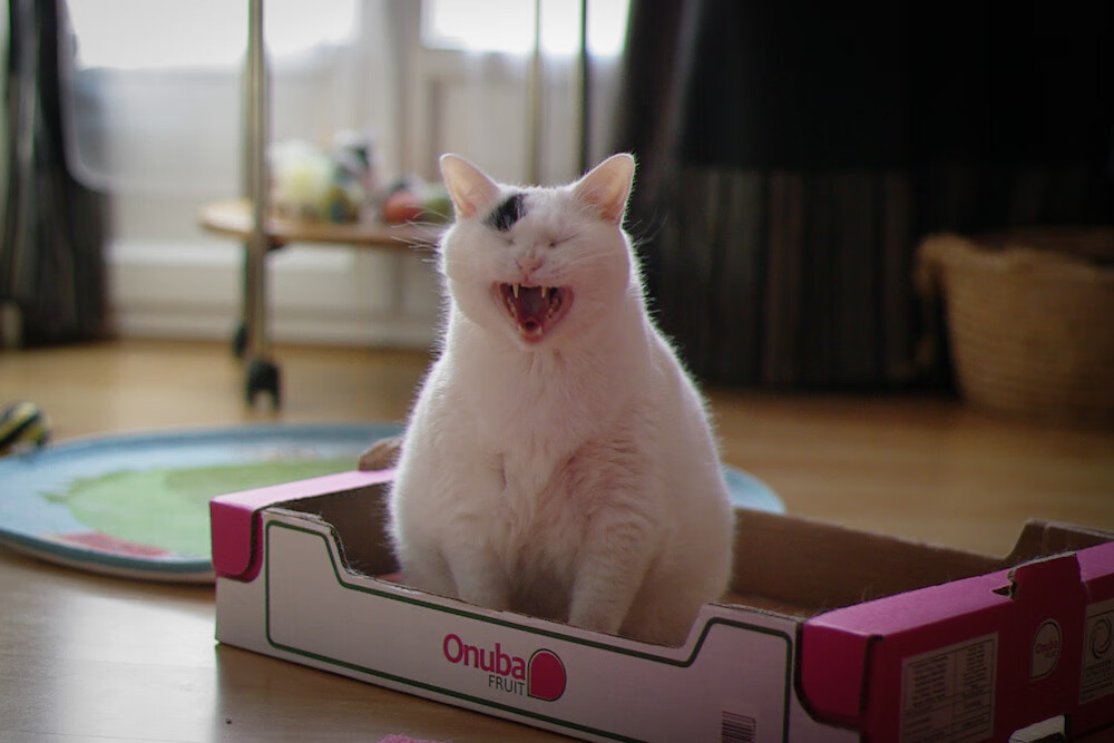 九游娱乐-电竞运动员考核体系完善促进职业规范，电子竞技运动员应当具备哪些竞技能力