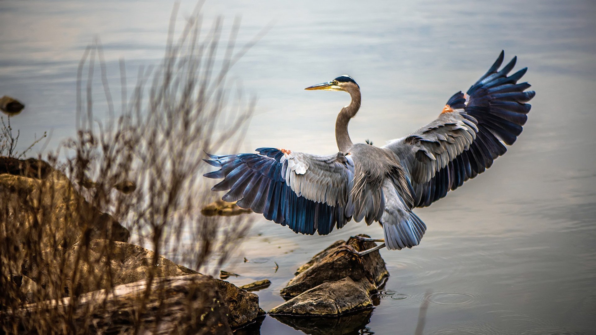九游网页版官网入口-中超赛场灯光和草坪标准进一步提升保障比赛质量，中超比赛场地要求