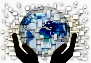 九游娱乐(jiuyou)官网-国家滑板协会公布全国青少年排名更新机制，国家滑板队训练中心