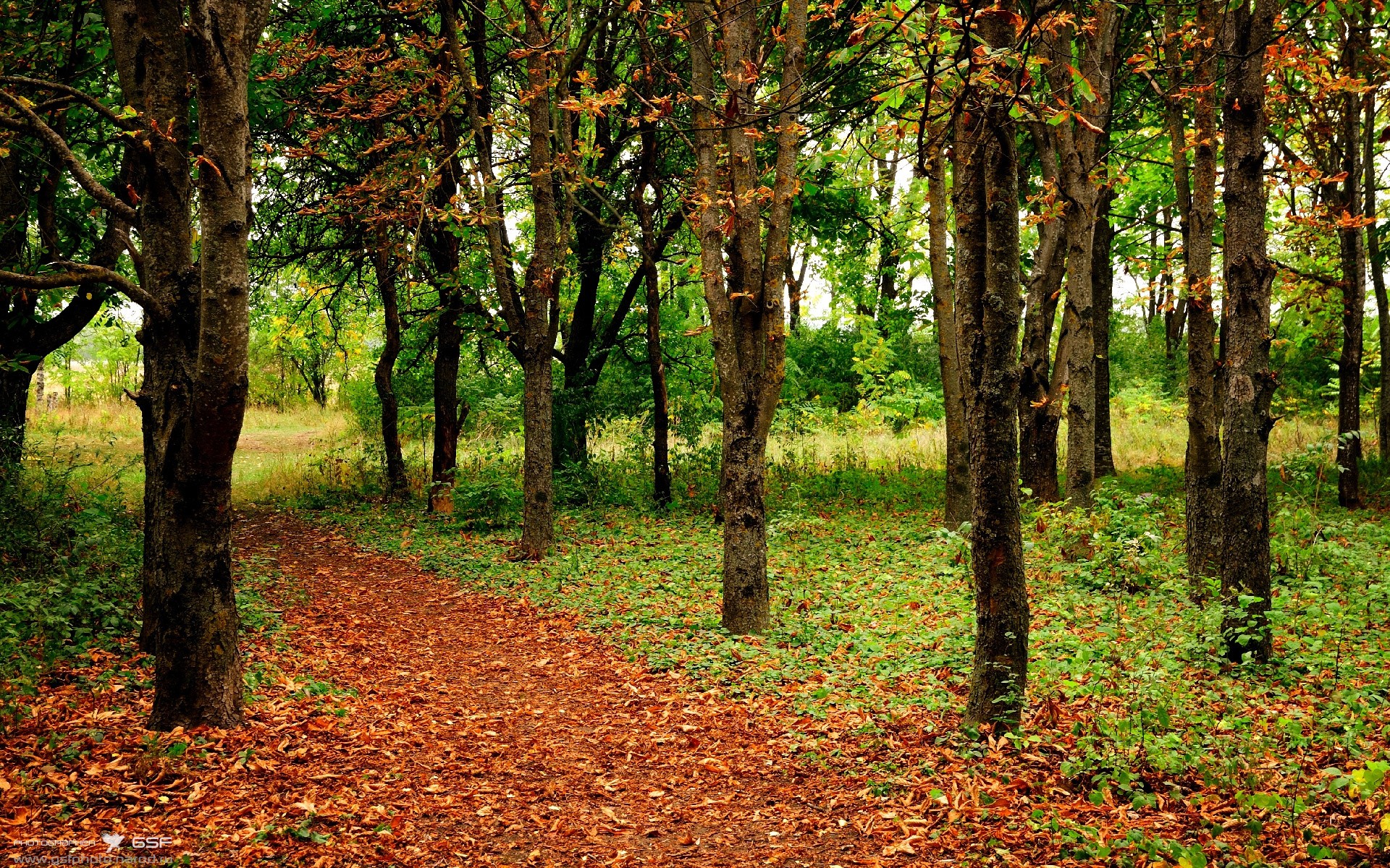 九游-庞蒂冲线时刻引爆全场欢呼，庞蒂克所有车型报价