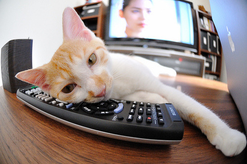 拉尼·帕利斯特赛后分享训练心得,帕尼尼利拉德