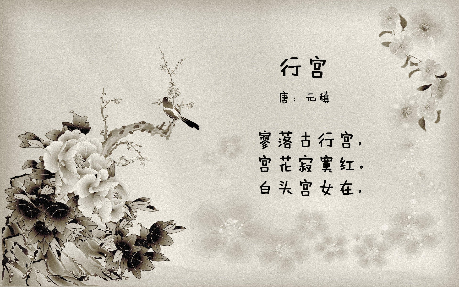 林丹透露未来有意组建青训俱乐部,林丹主教练