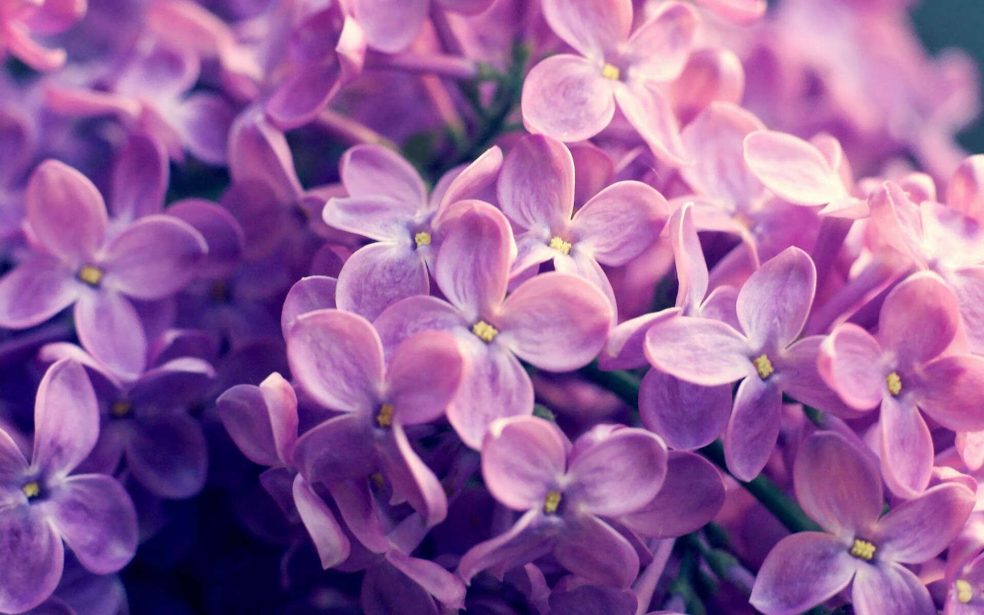 Jiu You-格鲁吉亚男篮在欧洲预赛中持续拼搏，期待奥运出线，格鲁吉亚篮球队