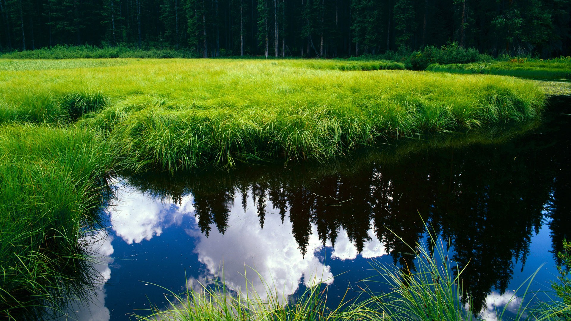 九游网页版官网-球员多次突破制造威胁带动全场气氛展现强大个人能力，持球队员突破后