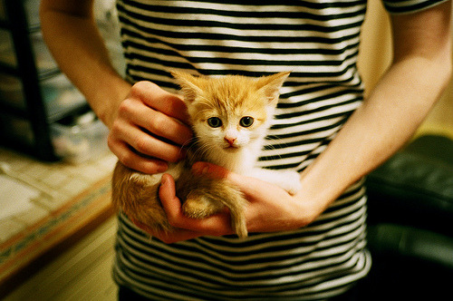 九游-蝶泳赛场韩国选手爆发力强，蝶泳金牌视频