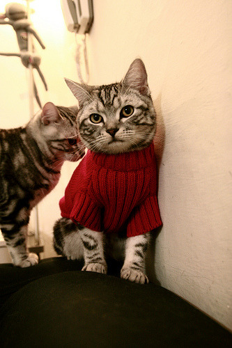 九游游戏中心官网-西甲悬念不断：最后一分钟的奇迹场面，西甲最后一轮哪里直播